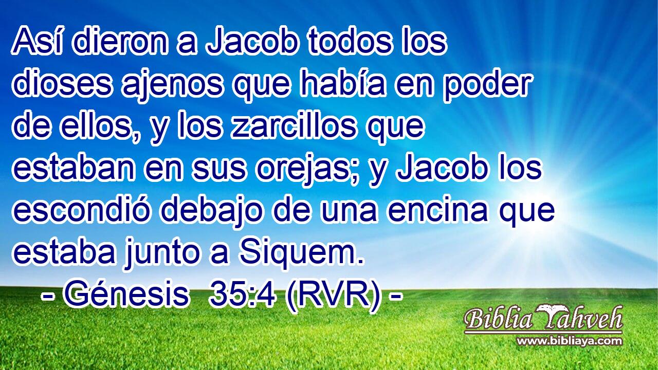 Así dieron a Jacob todos los dioses ajenos que había en poder de ellos, y los zarcillos que estaban en sus orejas; y Jacob los escondió debajo de una encina que estaba junto a Siquem.