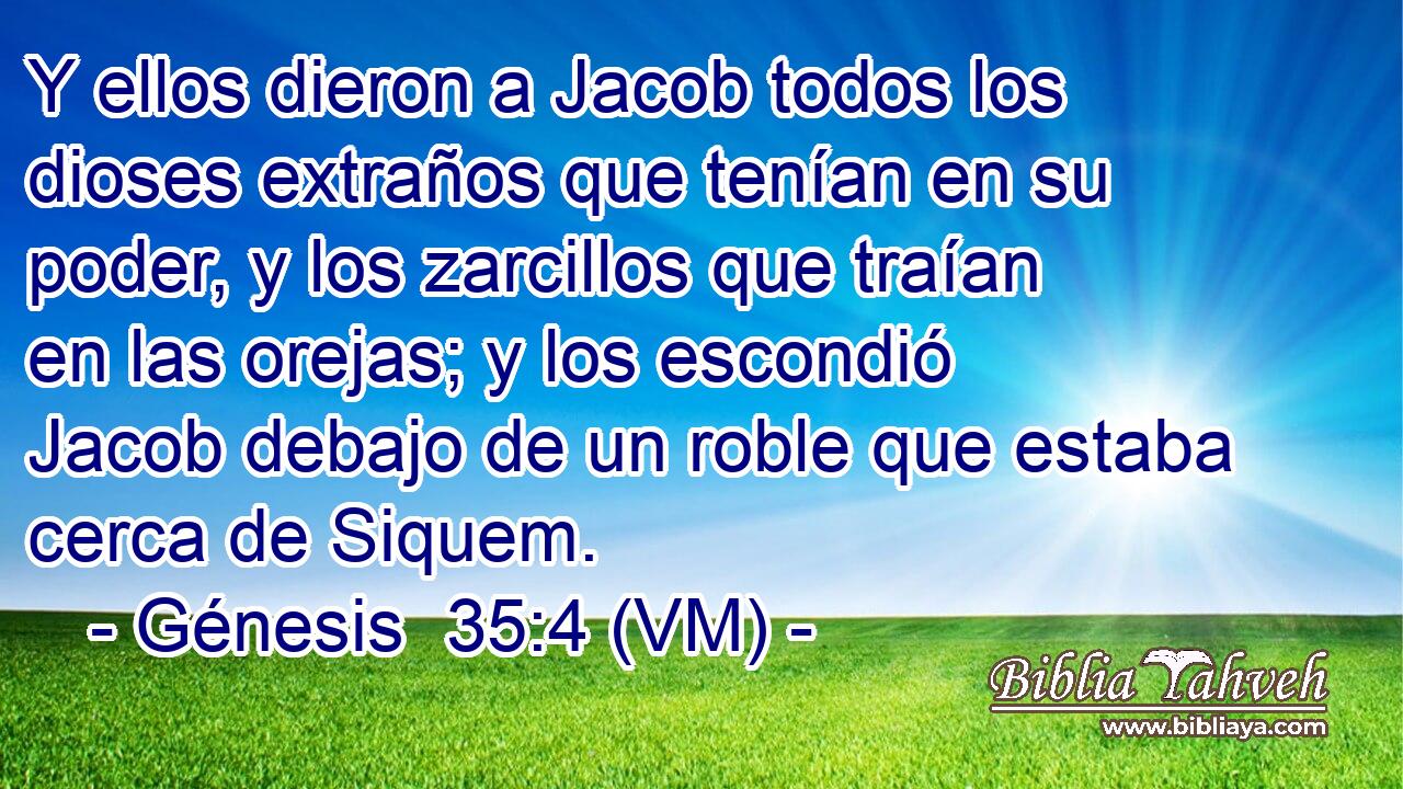  Y ellos dieron a Jacob todos los dioses extraños que tenían en su poder, y los zarcillos que traían en las orejas; y los escondió Jacob debajo de un roble que estaba cerca de Siquem. 