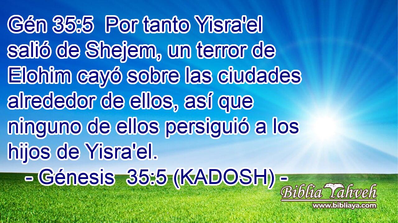  Por tanto Yisra'el salió de Shejem, un terror de Elohim cayó sobre las ciudades alrededor de ellos, así que ninguno de ellos persiguió a los hijos de Yisra'el. 