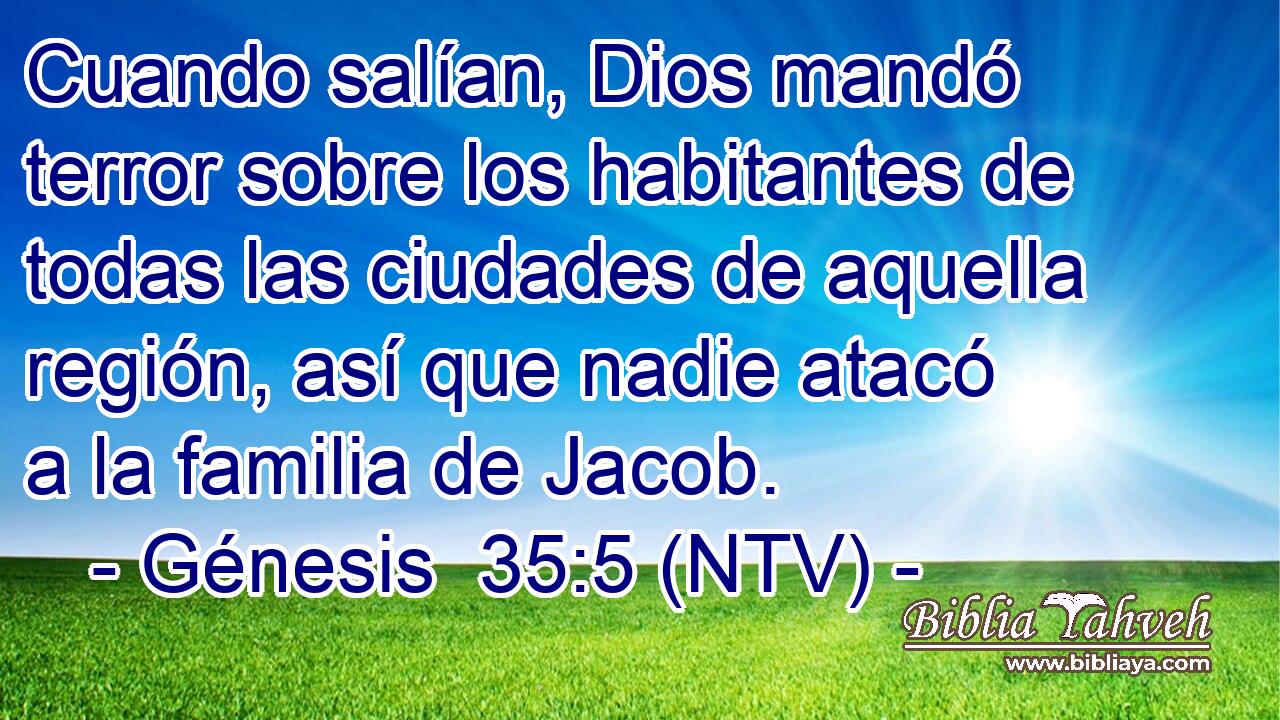 Cuando salían, Dios mandó terror sobre los habitantes de todas las ciudades de aquella región, así que nadie atacó a la familia de Jacob.