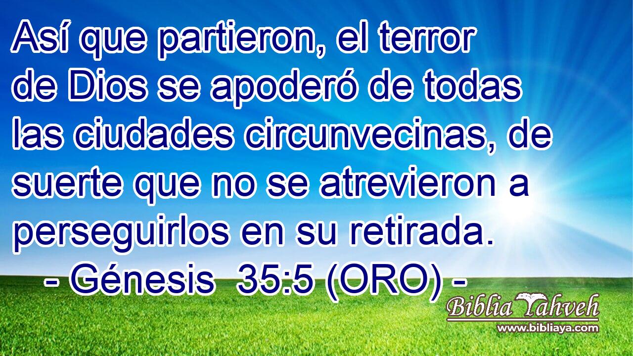  Así que partieron, el terror de Dios se apoderó de todas las ciudades circunvecinas, de suerte que no se atrevieron a perseguirlos en su retirada. 