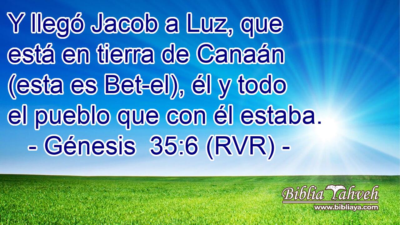 Y llegó Jacob a Luz, que está en tierra de Canaán (esta es Bet-el), él y todo el pueblo que con él estaba.