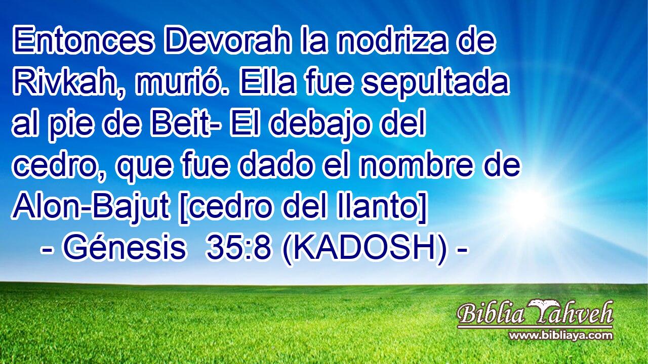  Entonces Devorah la nodriza de Rivkah, murió. Ella fue sepultada al pie de Beit- El debajo del cedro, que fue dado el nombre de Alon-Bajut [cedro del llanto] 
