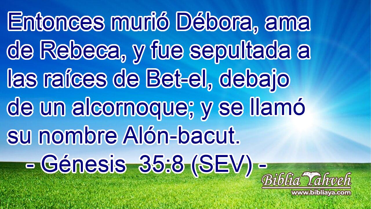 Entonces murió Débora, ama de Rebeca, y fue sepultada a las raíces de Bet-el, debajo de un alcornoque; y se llamó su nombre Alón-bacut.