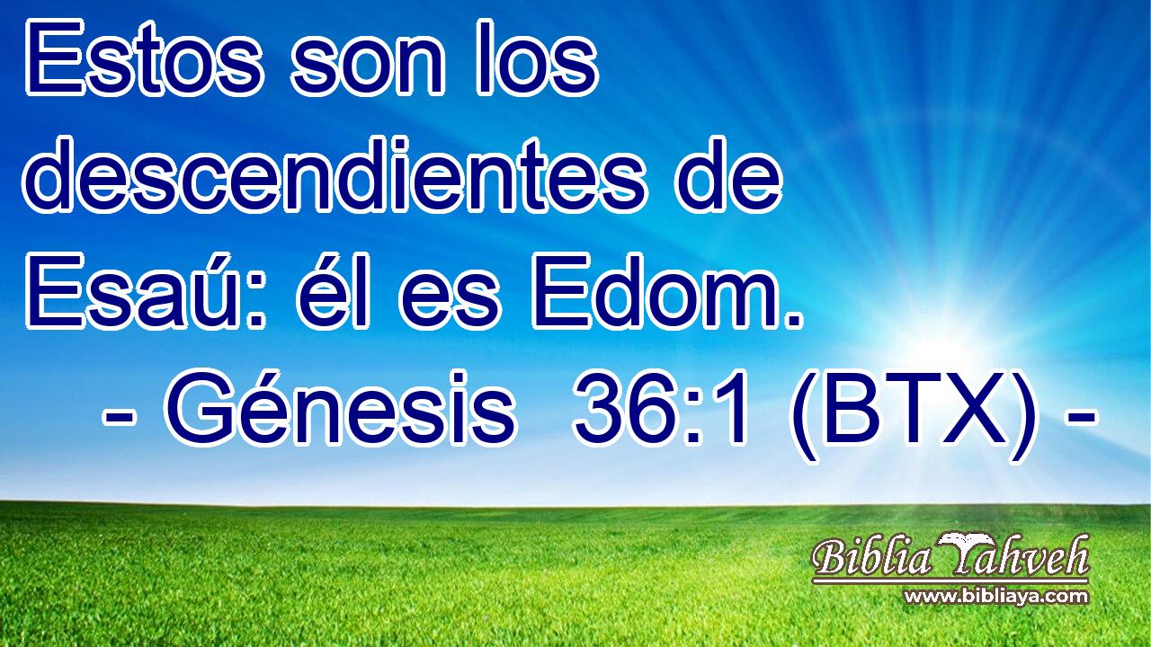 Estos son los descendientes de Esaú: él es Edom.