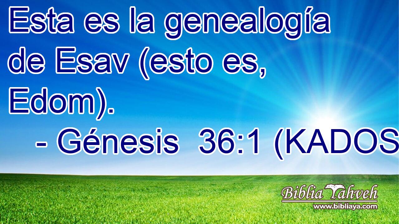  Esta es la genealogía de Esav (esto es, Edom). 