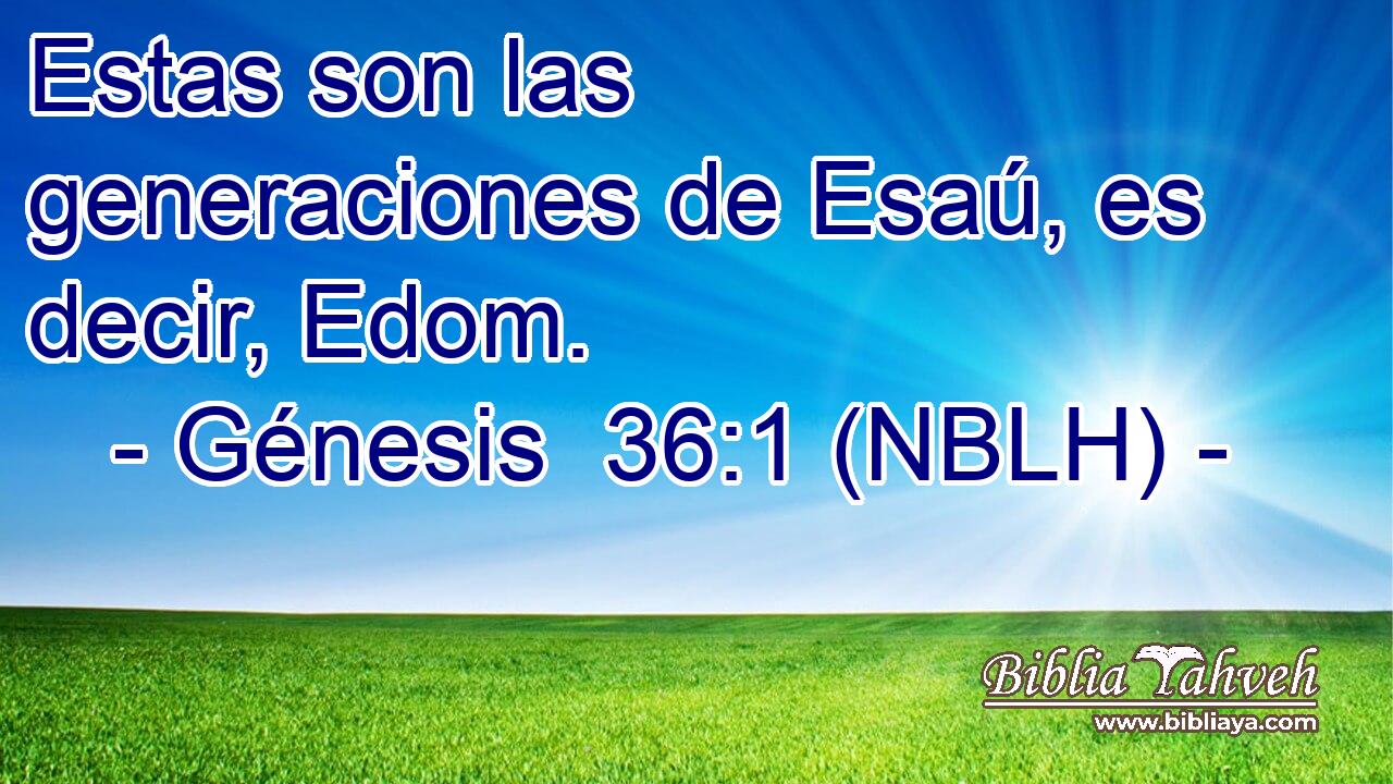  Estas son las generaciones de Esaú, es decir, Edom. 