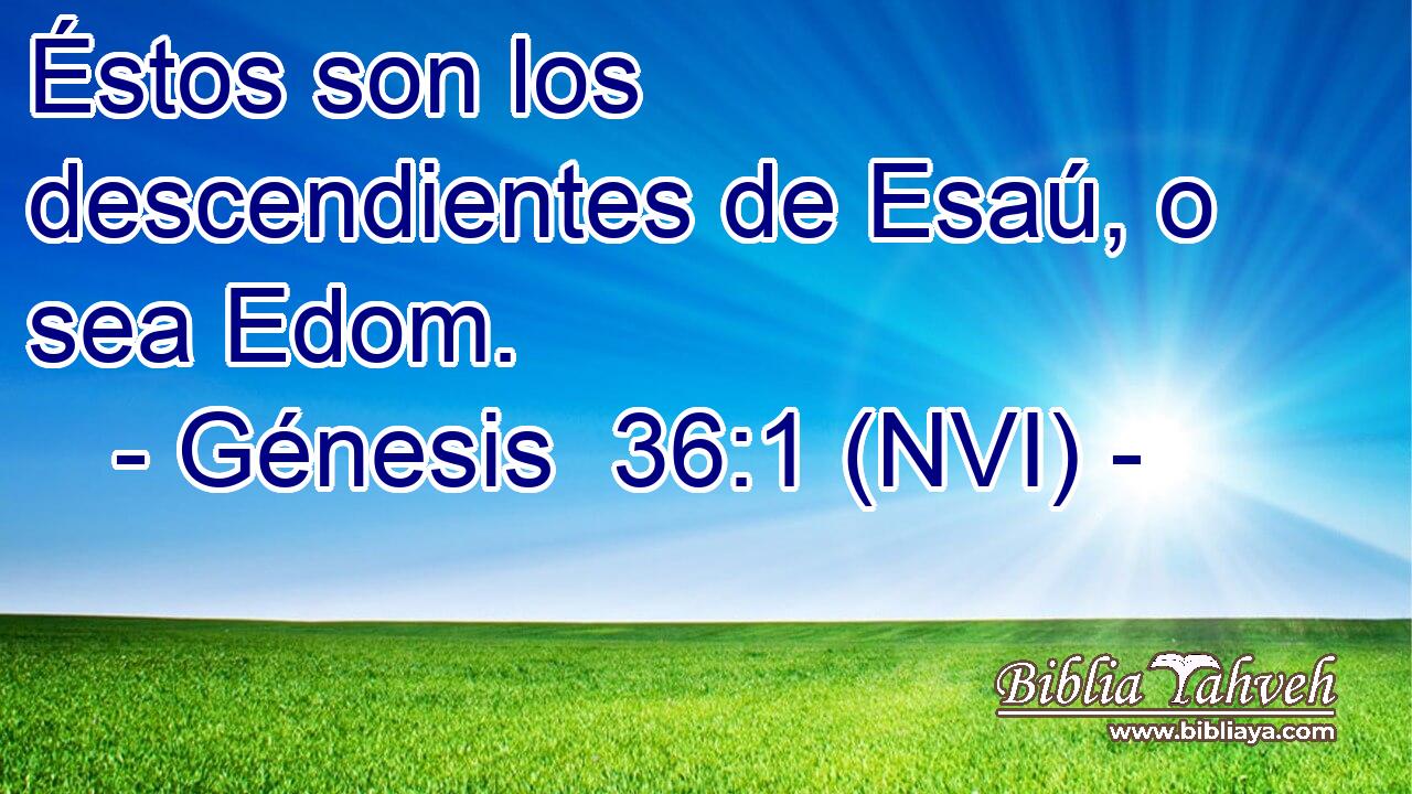  Éstos son los descendientes de Esaú, o sea Edom. 