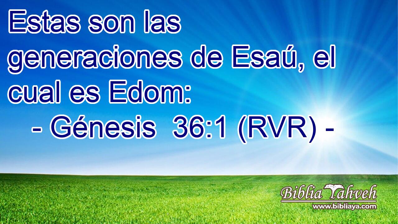 Estas son las generaciones de Esaú, el cual es Edom:
