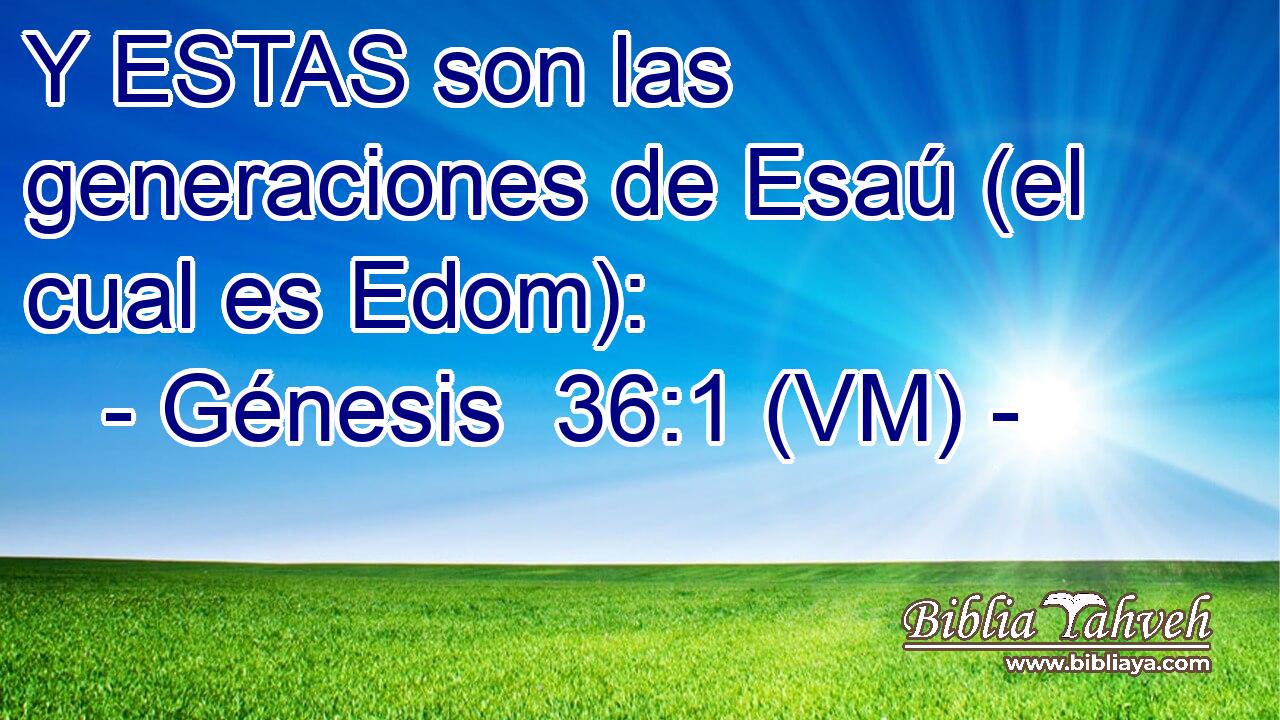  Y ESTAS son las generaciones de Esaú (el cual es Edom): 