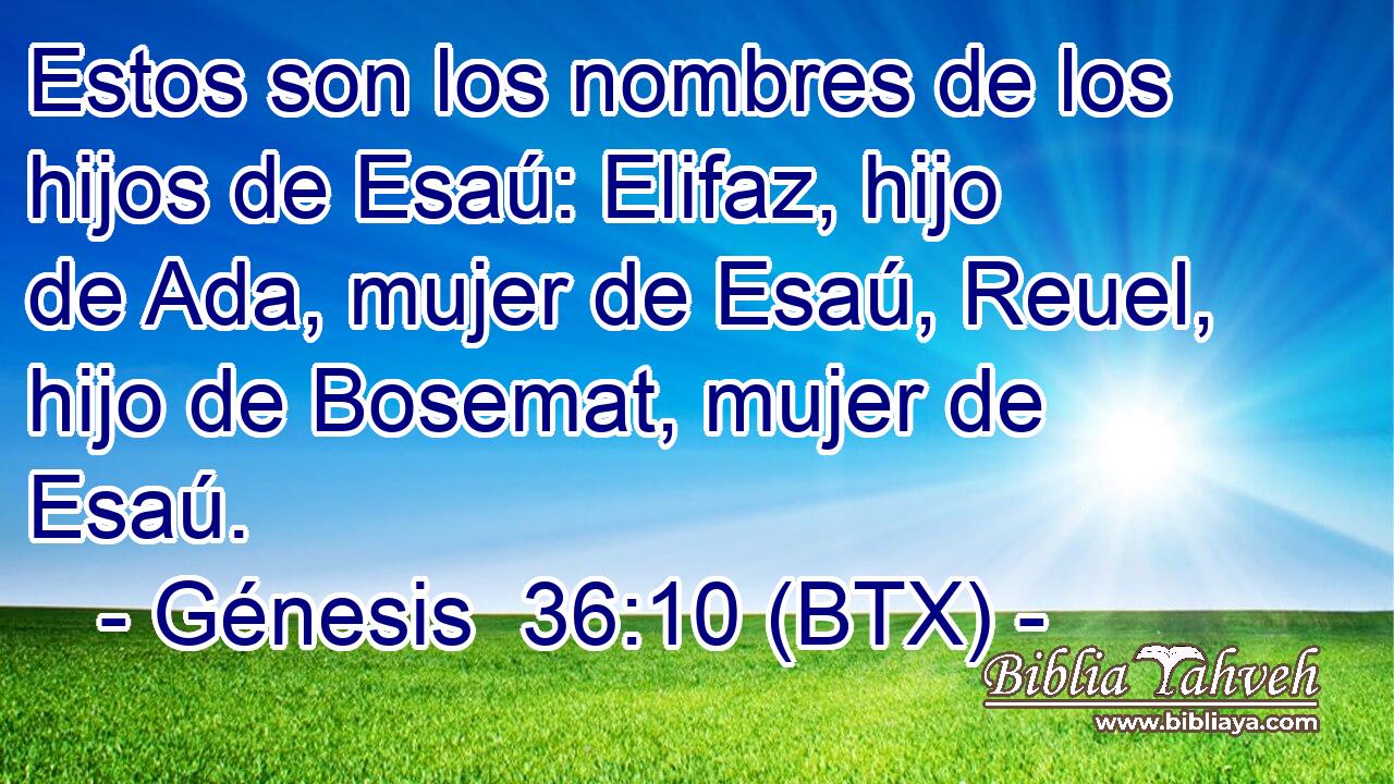 Estos son los nombres de los hijos de Esaú: Elifaz, hijo de Ada, mujer de Esaú, Reuel, hijo de Bosemat, mujer de Esaú.