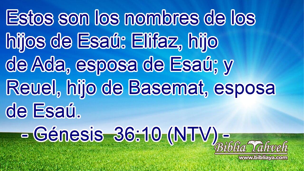 Estos son los nombres de los hijos de Esaú: Elifaz, hijo de Ada, esposa de Esaú; y Reuel, hijo de Basemat, esposa de Esaú.