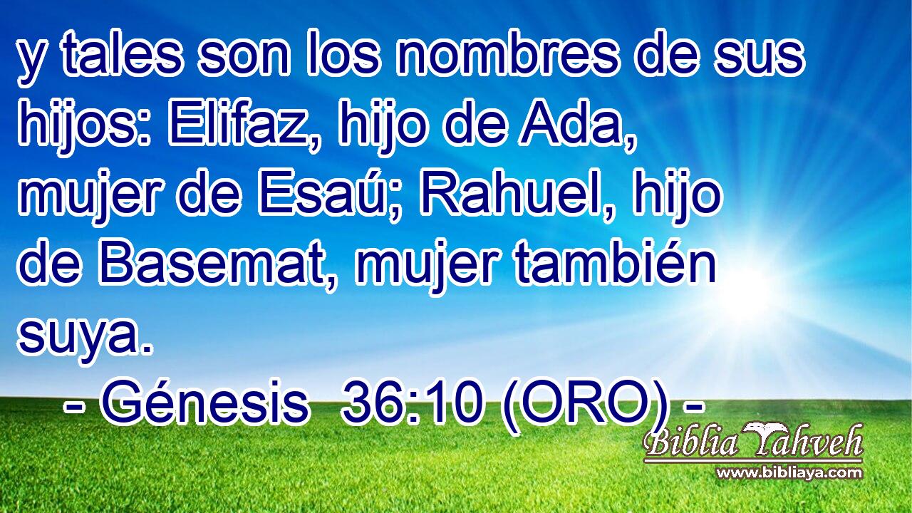  y tales son los nombres de sus hijos: Elifaz, hijo de Ada, mujer de Esaú; Rahuel, hijo de Basemat, mujer también suya. 