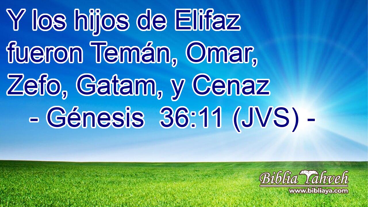 Y los hijos de Elifaz fueron Temán, Omar, Zefo, Gatam, y Cenaz