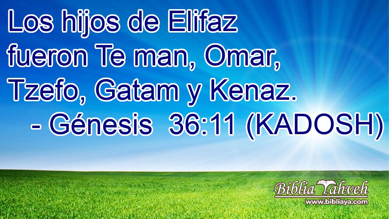  Los hijos de Elifaz fueron Te man, Omar, Tzefo, Gatam y Kenaz. 