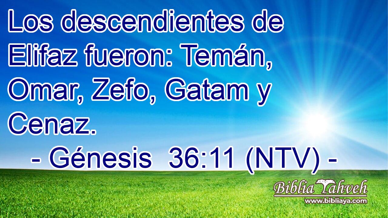 Los descendientes de Elifaz fueron: Temán, Omar, Zefo, Gatam y Cenaz.