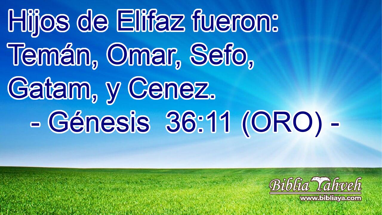  Hijos de Elifaz fueron: Temán, Omar, Sefo, Gatam, y Cenez. 