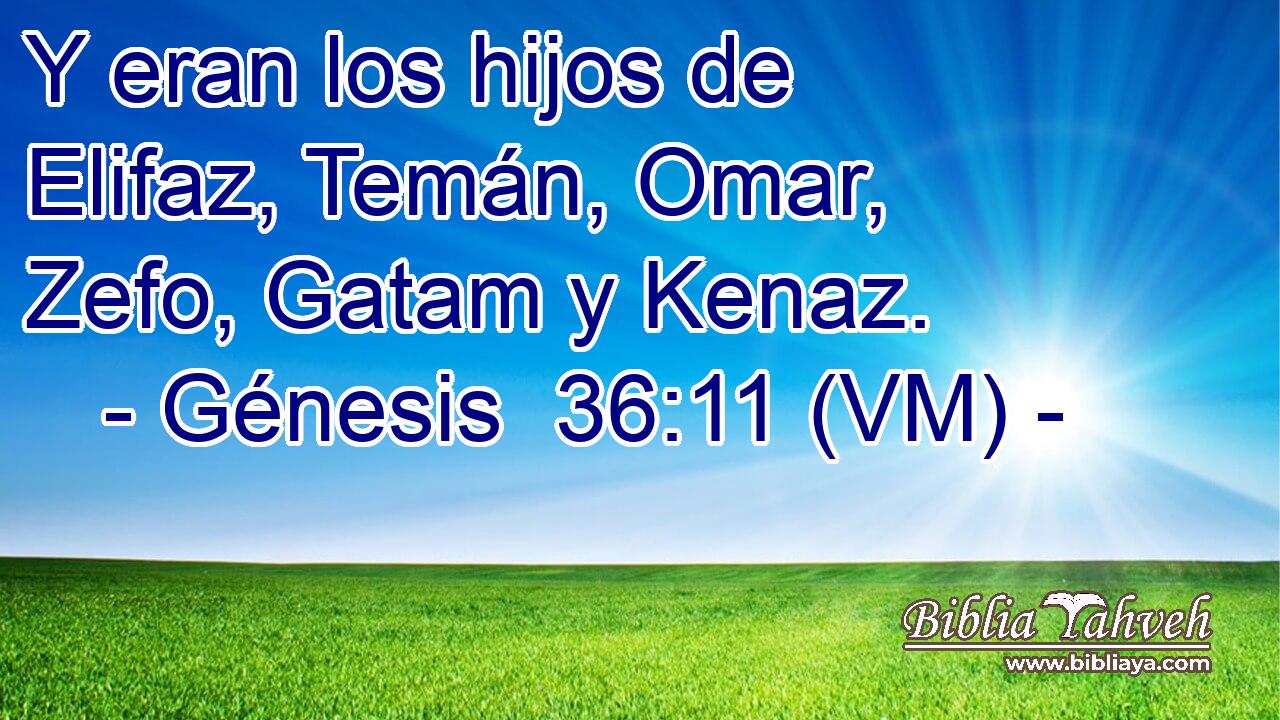  Y eran los hijos de Elifaz, Temán, Omar, Zefo, Gatam y Kenaz. 