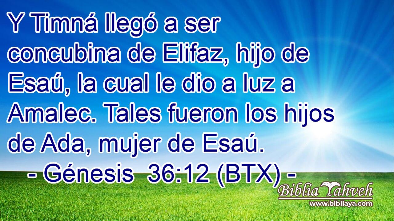 Y Timná llegó a ser concubina de Elifaz, hijo de Esaú, la cual le dio a luz a Amalec. Tales fueron los hijos de Ada, mujer de Esaú.