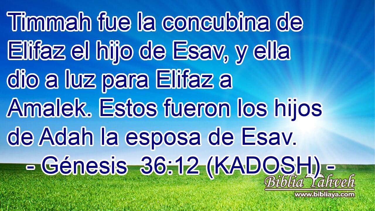  Timmah fue la concubina de Elifaz el hijo de Esav, y ella dio a luz para Elifaz a Amalek. Estos fueron los hijos de Adah la esposa de Esav. 