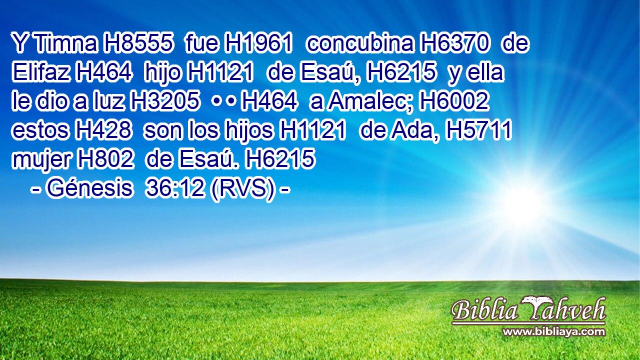 Y Timna H8555  fue H1961  concubina H6370  de Elifaz H464  hijo H1121  de Esaú, H6215  y ella le dio a luz H3205  • • H464  a Amalec; H6002  estos H428  son los hijos H1121  de Ada, H5711  mujer H802  de Esaú. H6215  