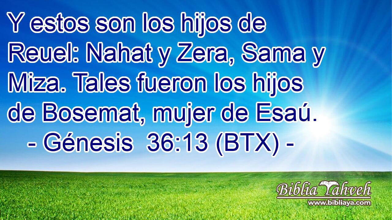 Y estos son los hijos de Reuel: Nahat y Zera, Sama y Miza. Tales fueron los hijos de Bosemat, mujer de Esaú.