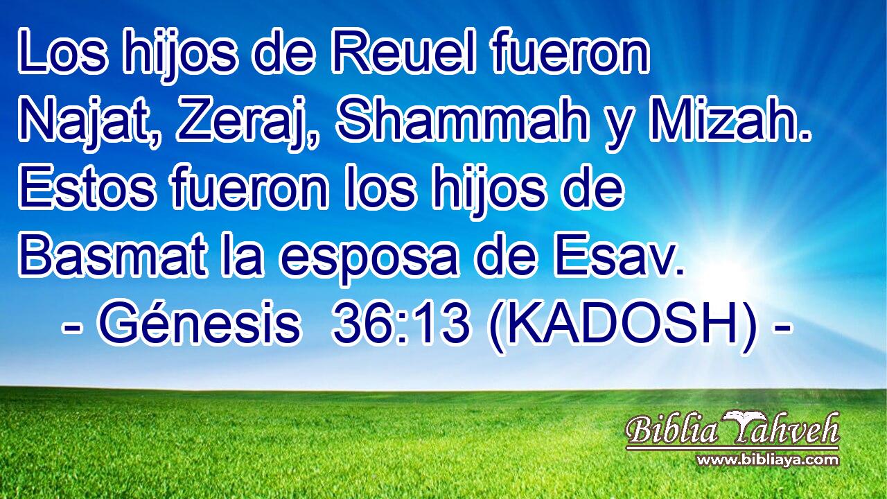 Los hijos de Reuel fueron Najat, Zeraj, Shammah y Mizah. Estos fueron los hijos de Basmat la esposa de Esav. 