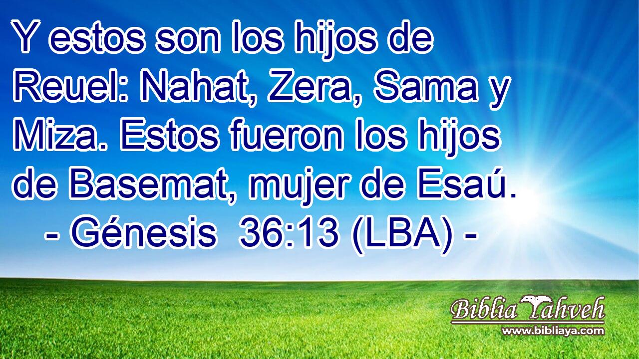 Y estos son los hijos de Reuel: Nahat, Zera, Sama y Miza. Estos fueron los hijos de Basemat, mujer de Esaú.