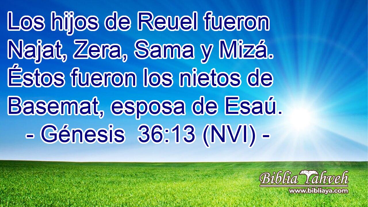  Los hijos de Reuel fueron Najat, Zera, Sama y Mizá. Éstos fueron los nietos de Basemat, esposa de Esaú. 