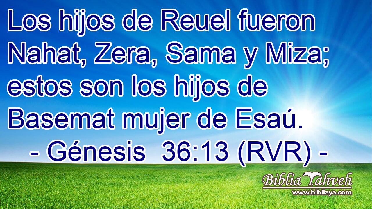 Los hijos de Reuel fueron Nahat, Zera, Sama y Miza; estos son los hijos de Basemat mujer de Esaú.