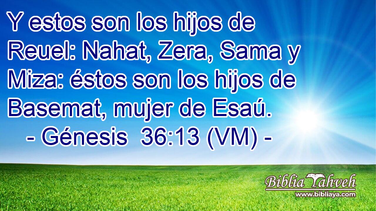  Y estos son los hijos de Reuel: Nahat, Zera, Sama y Miza: éstos son los hijos de Basemat, mujer de Esaú. 