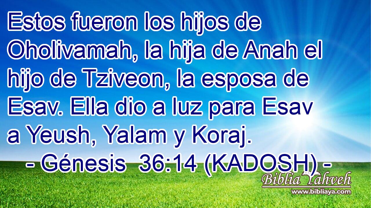  Estos fueron los hijos de Oholivamah, la hija de Anah el hijo de Tziveon, la esposa de Esav. Ella dio a luz para Esav a Yeush, Yalam y Koraj. 