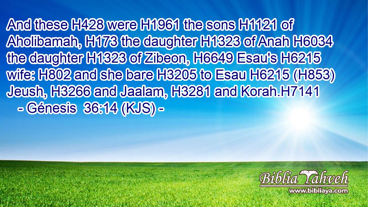 And these H428 were H1961 the sons H1121 of Aholibamah, H173 the daughter H1323 of Anah H6034 the daughter H1323 of Zibeon, H6649 Esau's H6215 wife: H802 and she bare H3205 to Esau H6215 (H853) Jeush, H3266 and Jaalam, H3281 and Korah.H7141