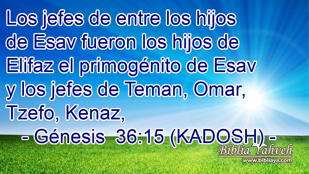  Los jefes de entre los hijos de Esav fueron los hijos de Elifaz el primogénito de Esav y los jefes de Teman, Omar, Tzefo, Kenaz, 