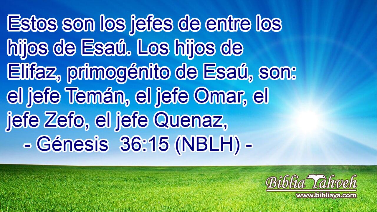  Estos son los jefes de entre los hijos de Esaú. Los hijos de Elifaz, primogénito de Esaú, son: el jefe Temán, el jefe Omar, el jefe Zefo, el jefe Quenaz, 