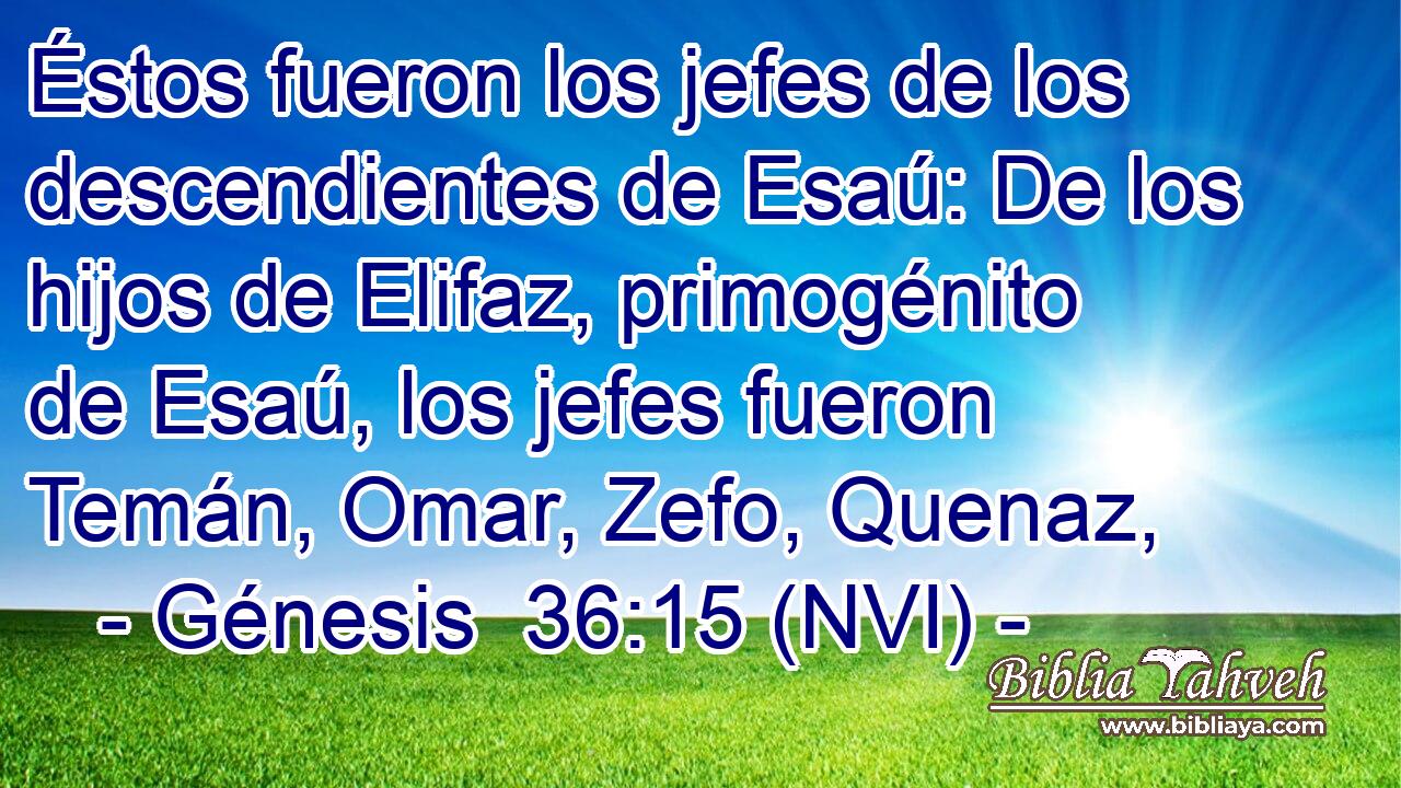  Éstos fueron los jefes de los descendientes de Esaú: De los hijos de Elifaz, primogénito de Esaú, los jefes fueron Temán, Omar, Zefo, Quenaz, 