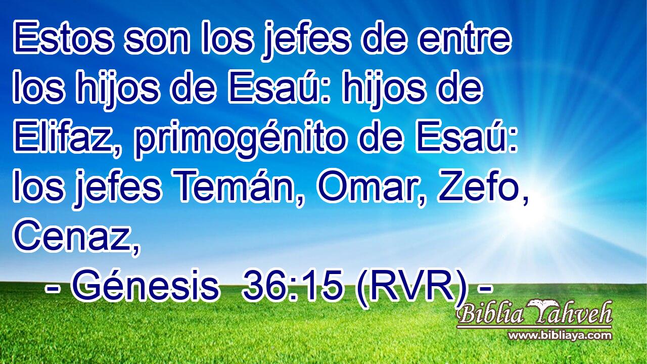 Estos son los jefes de entre los hijos de Esaú: hijos de Elifaz, primogénito de Esaú: los jefes Temán, Omar, Zefo, Cenaz,