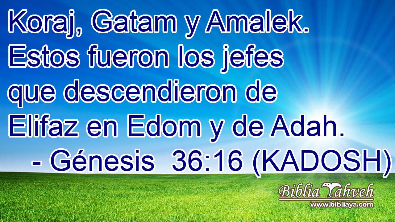  Koraj, Gatam y Amalek. Estos fueron los jefes que descendieron de Elifaz en Edom y de Adah. 