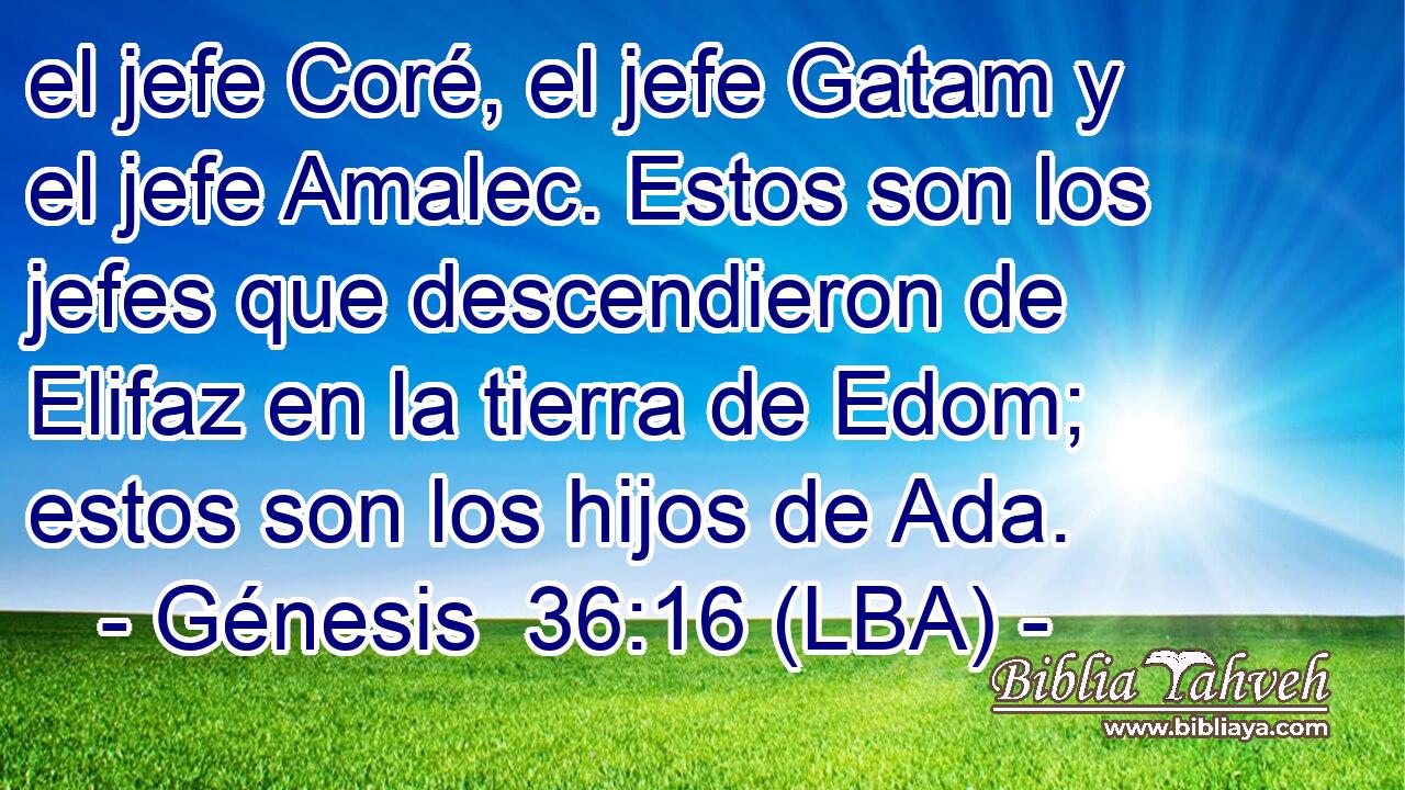 el jefe Coré, el jefe Gatam y el jefe Amalec. Estos son los jefes que descendieron de Elifaz en la tierra de Edom; estos son los hijos de Ada.