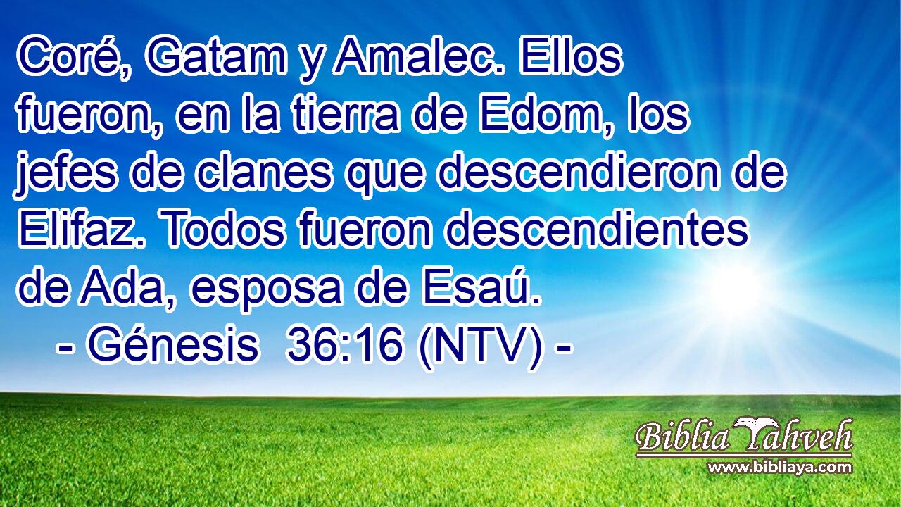 Coré, Gatam y Amalec. Ellos fueron, en la tierra de Edom, los jefes de clanes que descendieron de Elifaz. Todos fueron descendientes de Ada, esposa de Esaú.