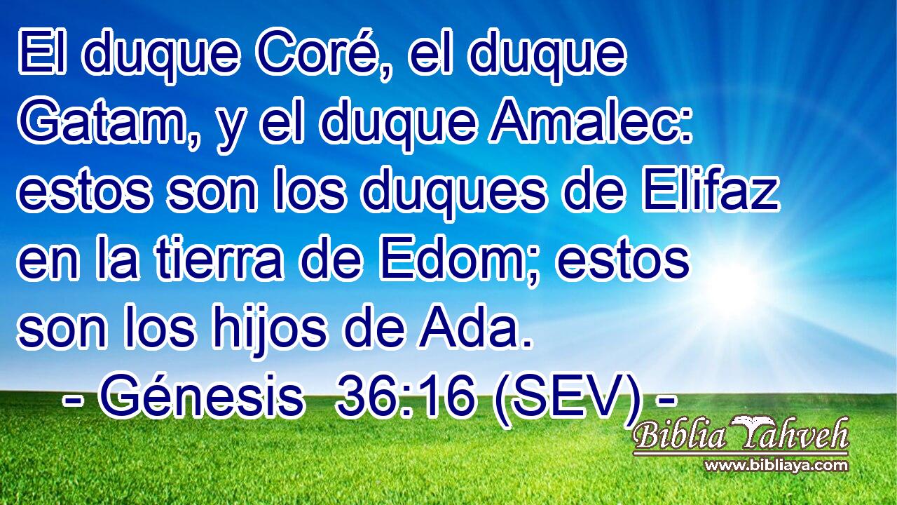 El duque Coré, el duque Gatam, y el duque Amalec: estos son los duques de Elifaz en la tierra de Edom; estos son los hijos de Ada.