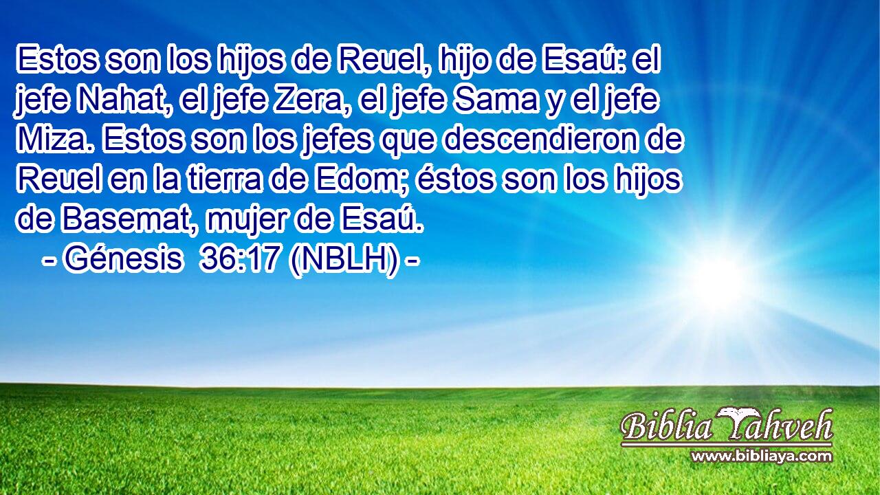  Estos son los hijos de Reuel, hijo de Esaú: el jefe Nahat, el jefe Zera, el jefe Sama y el jefe Miza. Estos son los jefes que descendieron de Reuel en la tierra de Edom; éstos son los hijos de Basemat, mujer de Esaú. 