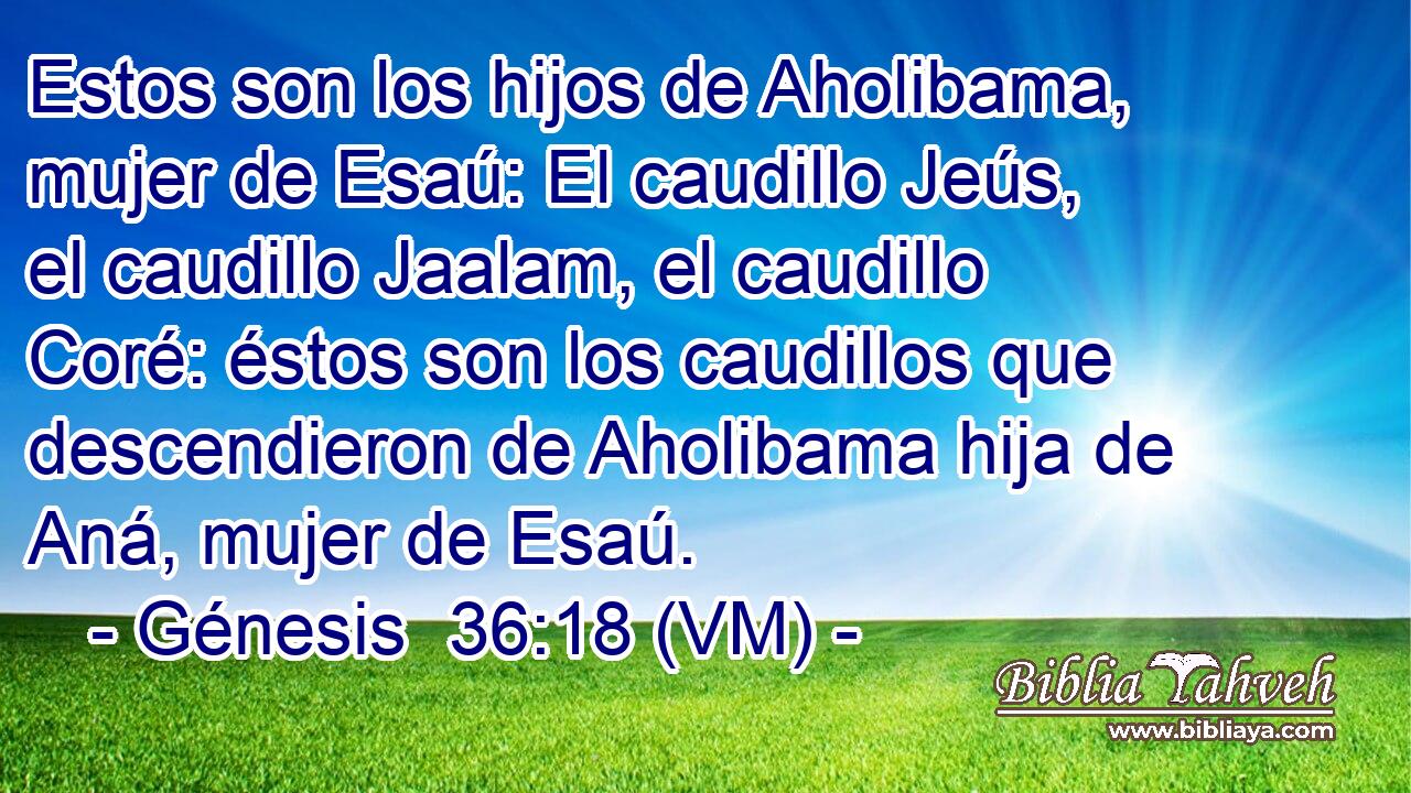  Estos son los hijos de Aholibama, mujer de Esaú: El caudillo Jeús, el caudillo Jaalam, el caudillo Coré: éstos son los caudillos que descendieron de Aholibama hija de Aná, mujer de Esaú. 