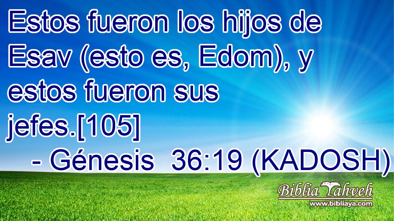  Estos fueron los hijos de Esav (esto es, Edom), y estos fueron sus jefes.[105] 