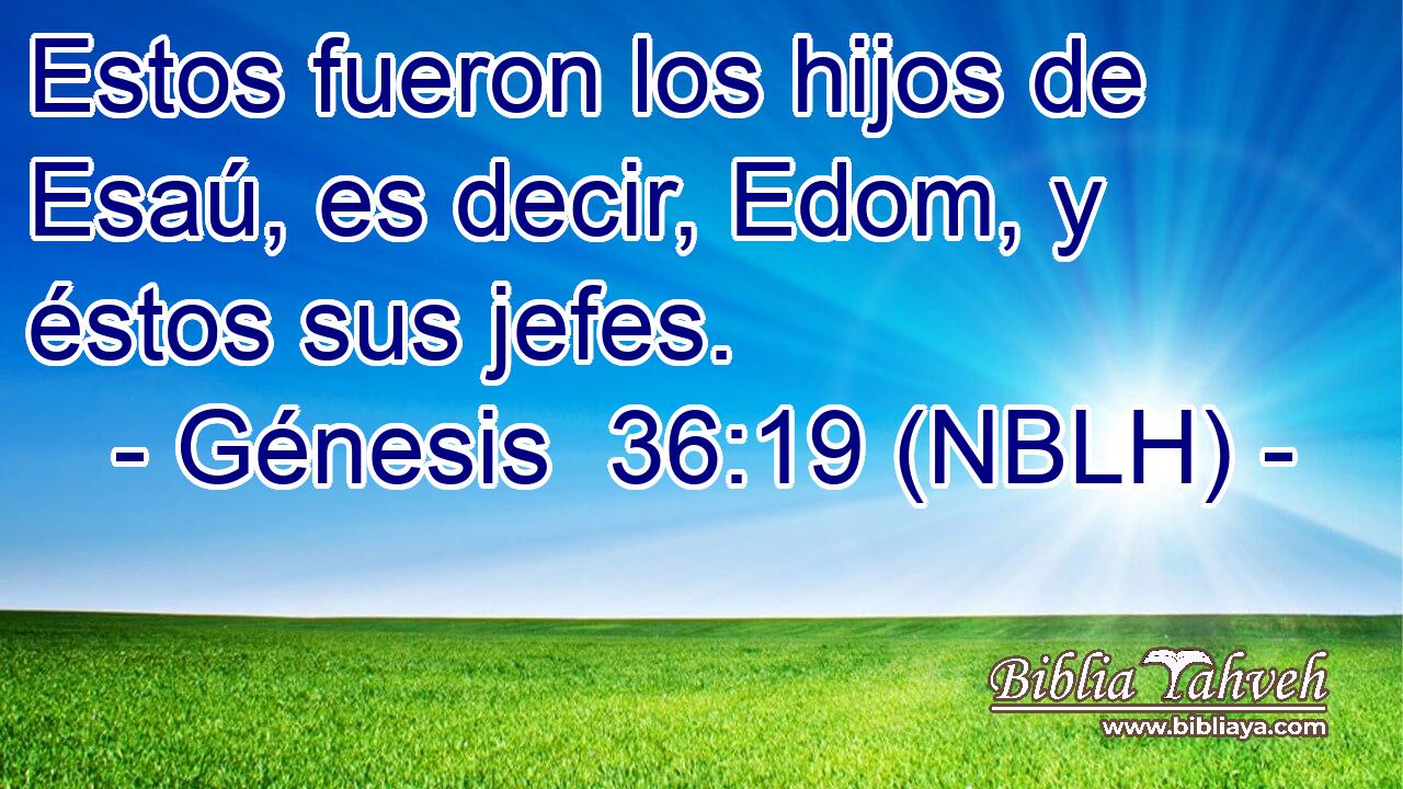  Estos fueron los hijos de Esaú, es decir, Edom, y éstos sus jefes. 