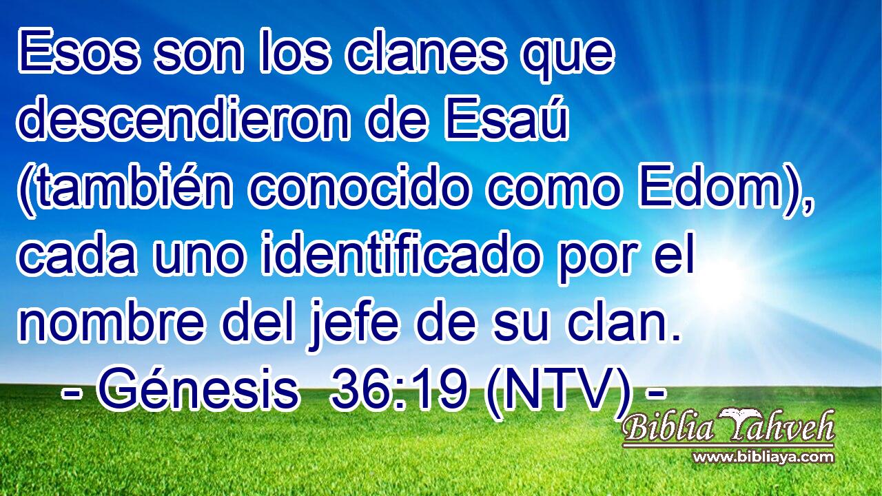 Esos son los clanes que descendieron de Esaú (también conocido como Edom), cada uno identificado por el nombre del jefe de su clan.