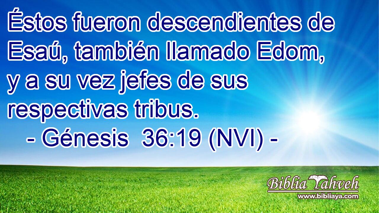  Éstos fueron descendientes de Esaú, también llamado Edom, y a su vez jefes de sus respectivas tribus. 