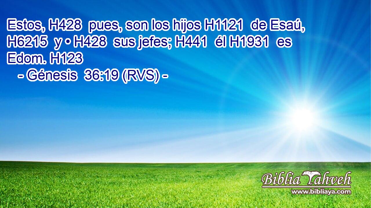 Estos, H428  pues, son los hijos H1121  de Esaú, H6215  y • H428  sus jefes; H441  él H1931  es Edom. H123  
