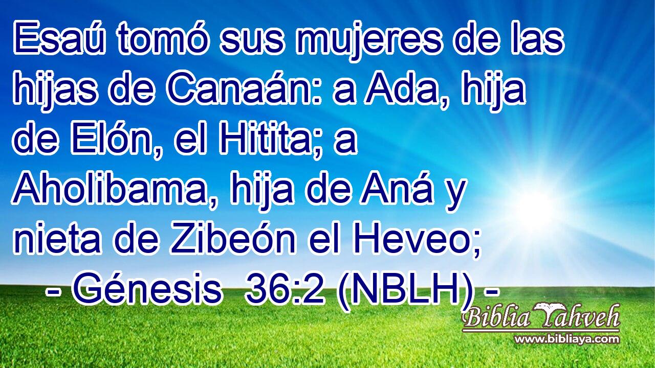  Esaú tomó sus mujeres de las hijas de Canaán: a Ada, hija de Elón, el Hitita; a Aholibama, hija de Aná y nieta de Zibeón el Heveo; 