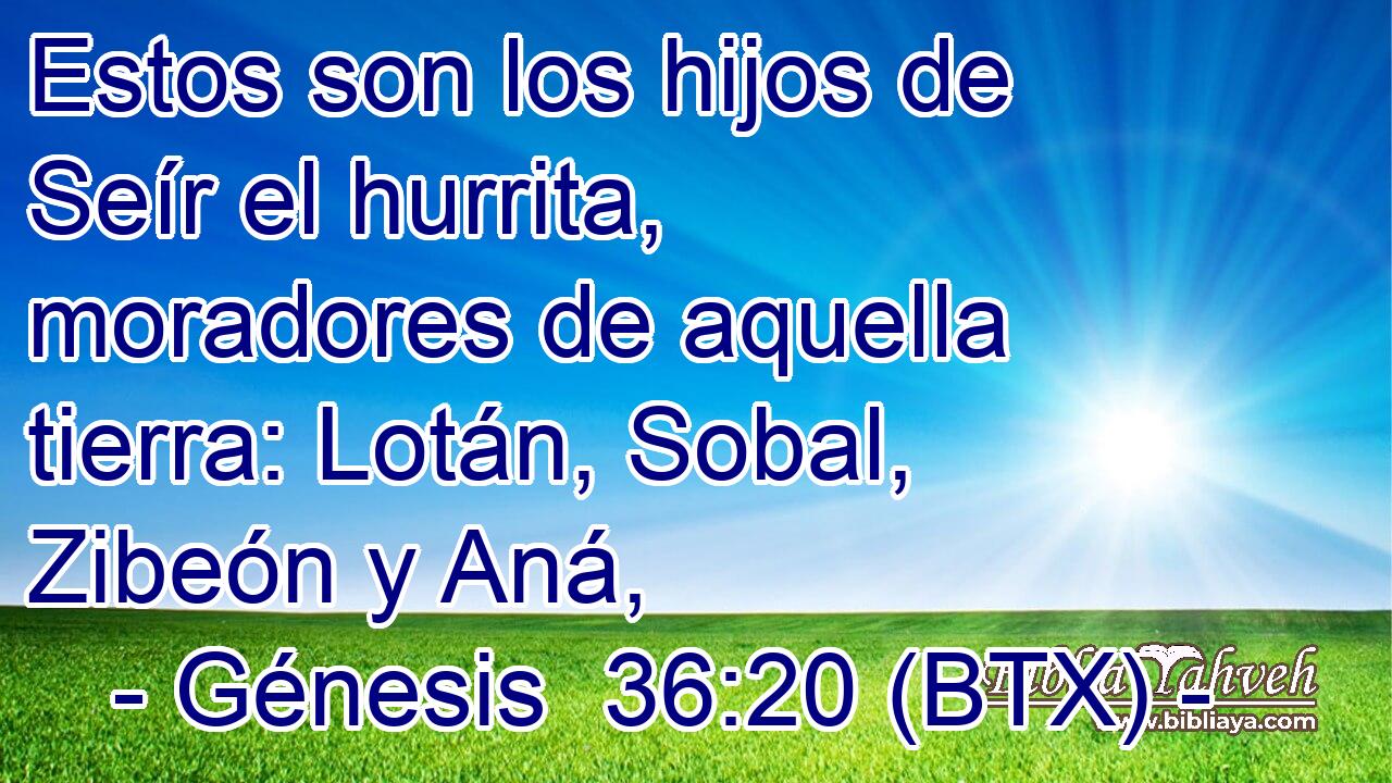 Estos son los hijos de Seír el hurrita, moradores de aquella tierra: Lotán, Sobal, Zibeón y Aná,
